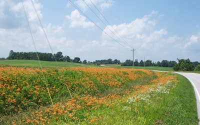 Minnesota’s Electric Cooperatives Lead Statewide Initiatives for Consumers